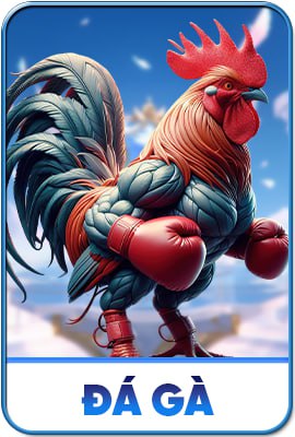 đá gà 1