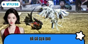 đá gà cựa dao