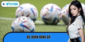 dự đoán bóng đá
