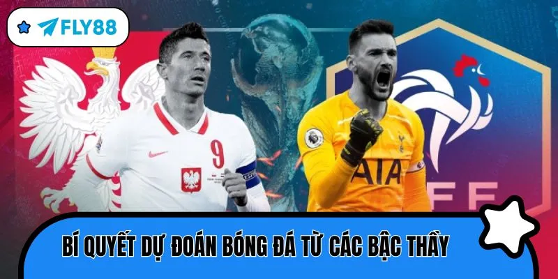 dự đoán bóng đá bí quyết