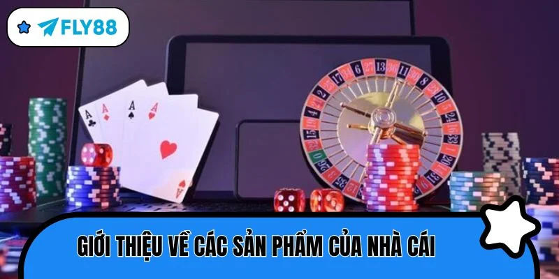giới thiệu các sản phẩm