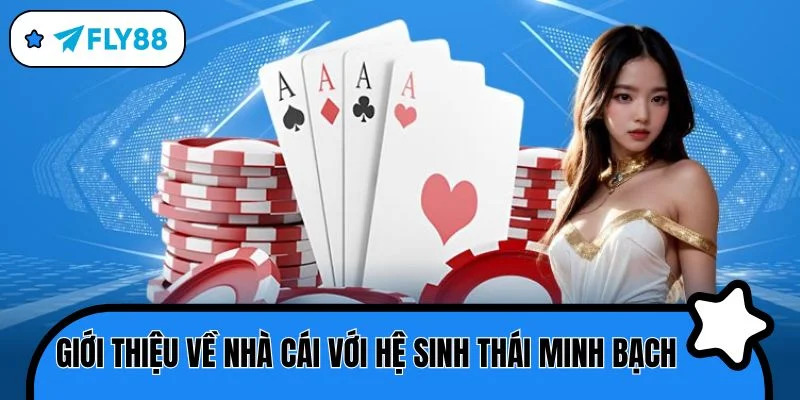 giới thiệu hệ sinh thái minh bạch